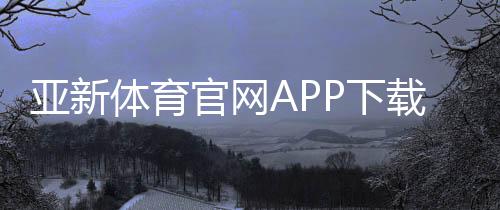 亚新体育官网APP下载与使用教程：新手注册、充值、投注与安全性全面解析