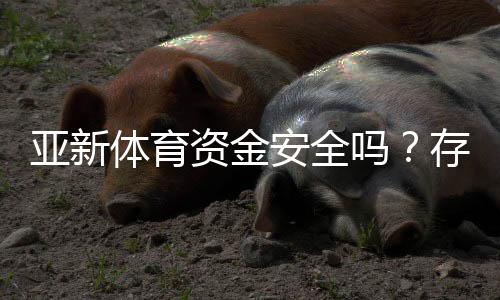 亚新体育资金安全吗？存取款流程、风控机制与真实用户评价全方位解析