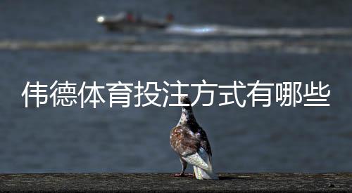 伟德体育投注方式有哪些?新手必学的单注、串关、滚球与亚洲盘全解析