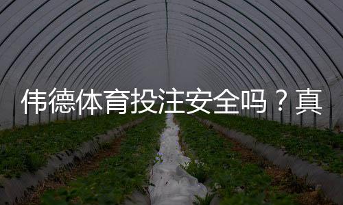 伟德体育投注安全吗?真实评测:平台信誉、存提款与防骗指南