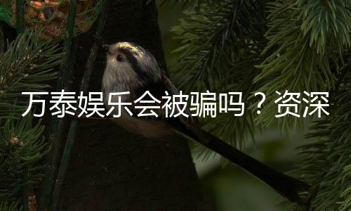 万泰娱乐会被骗吗？资深玩家揭秘防骗技巧与平台安全性