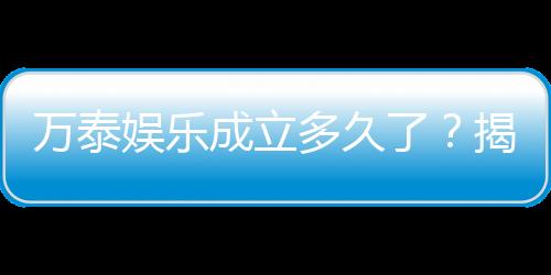 万泰娱乐成立多久了?揭秘品牌发展历程与实力背景