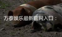 万泰娱乐最新官网入口：畅享顶级棋牌电游的尊贵体验