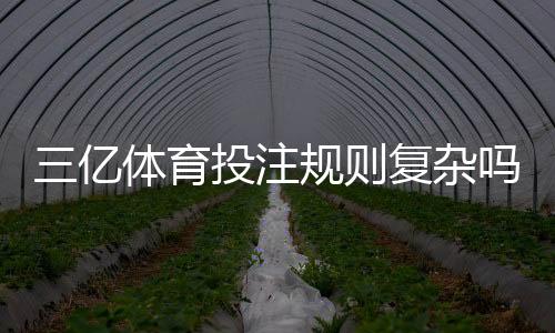 三亿体育投注规则复杂吗?新手必看玩法规则解析与快速上手攻略