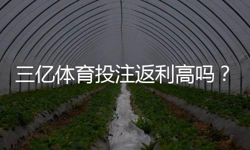 三亿体育投注返利高吗？真实返利率揭秘与收益计算方法