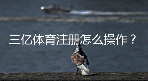 三亿体育注册怎么操作？新手开户流程与注意事项一看就懂