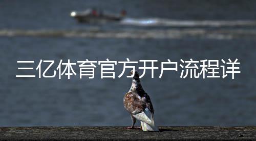 三亿体育官方开户流程详解:新手注册步骤与注意事项全攻略