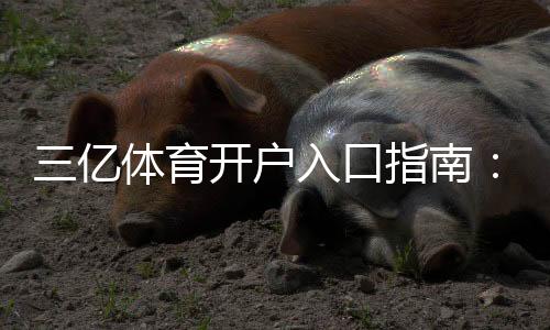三亿体育开户入口指南：注册流程、实名认证与安全注意事项