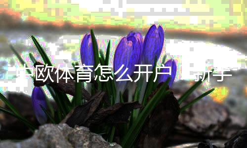 中欧体育怎么开户？新手开户流程、实名认证与注意事项详解