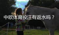 中欧体育投注有返水吗？一文看懂返水比例、领取规则与注意事项