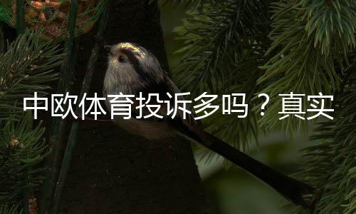 中欧体育投诉多吗？真实投诉数据、典型案例与维权处理全解析