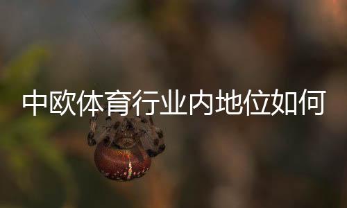 中欧体育行业内地位如何？深度解析市场份额、竞争优势与发展前景