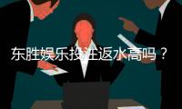 东胜娱乐投注返水高吗？揭秘高返水福利与实战技巧