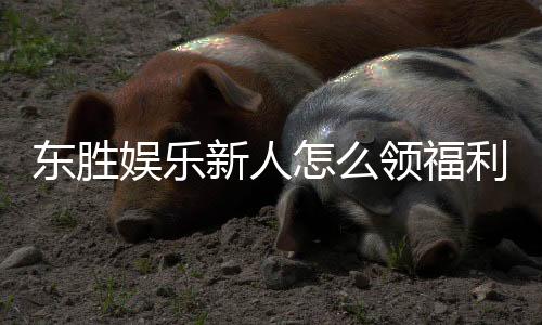 东胜娱乐新人怎么领福利?手把手教你轻松获取首存礼金