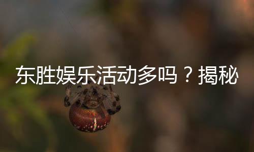 东胜娱乐活动多吗?揭秘丰富玩法与特色优惠