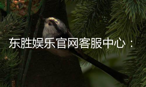 东胜娱乐官网客服中心:专业服务与高效解决方案指南