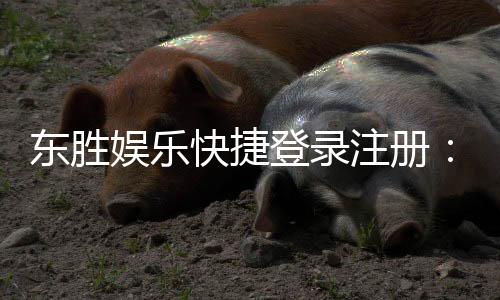 东胜娱乐快捷登录注册：轻松三步完成账号注册畅享游戏