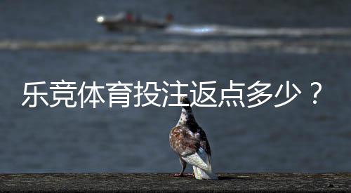 乐竞体育投注返点多少?最新返点比例、计算方法与省钱攻略