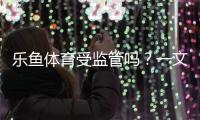 乐鱼体育受监管吗？一文看懂平台资质、监管查询与风险防范