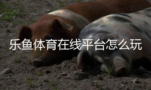 乐鱼体育在线平台怎么玩?新手注册、充值、玩法与安全使用全攻略