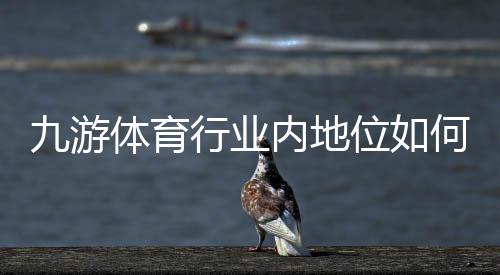 九游体育行业内地位如何?市场份额、竞争优势与发展前景一文看懂