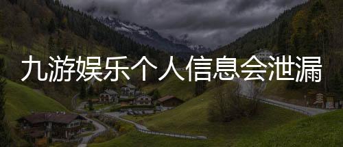 九游娱乐个人信息会泄漏吗?隐私风险揭秘与防护指南