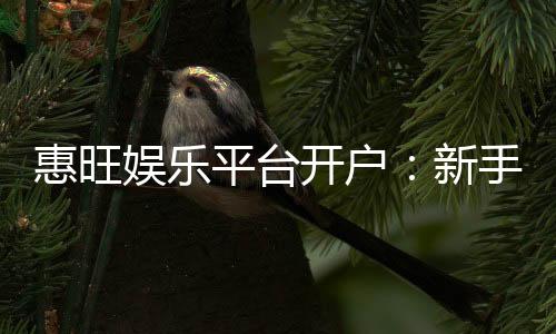 惠旺娱乐平台开户：新手注册即享豪华礼包与高额返利