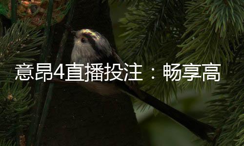 意昂4直播投注：畅享高赔率赛事与真人娱乐体验