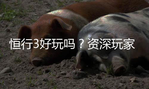恒行3好玩吗？资深玩家带你揭秘真实体验与赢钱技巧