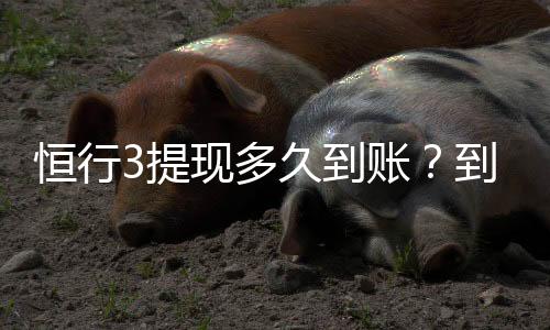 恒行3提现多久到账？到账时间及流程详解