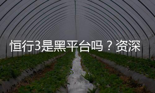 恒行3是黑平台吗？资深玩家揭秘其真实性与安全性