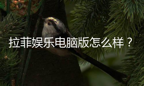 拉菲娱乐电脑版怎么样？资深玩家真实体验评测