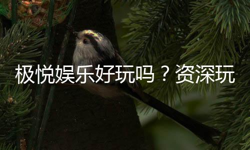 极悦娱乐好玩吗?资深玩家带你揭秘真实体验
