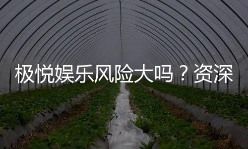 极悦娱乐风险大吗?资深玩家解析平台安全性与赢钱技巧