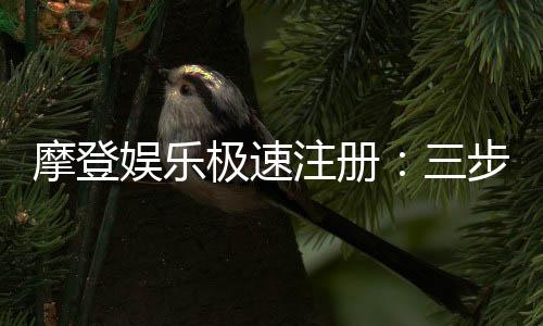 摩登娱乐极速注册：三步完成极速开户畅玩真人电游