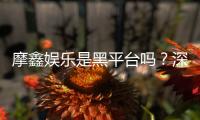 摩鑫娱乐是黑平台吗？深度解析其真实性与玩家体验