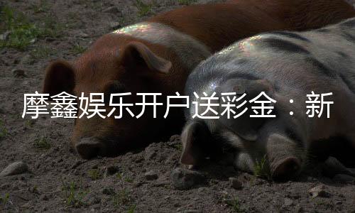 摩鑫娱乐开户送彩金:新会员专享彩金豪礼轻松开启赢利之旅