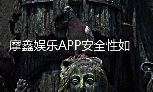 摩鑫娱乐APP安全性如何？深度评测其资金保障与数据防护