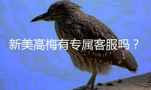 新美高梅有专属客服吗？为您揭秘VIP服务与专属客服详情