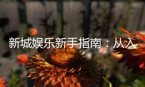 新城娱乐新手指南:从入门到精通的实战技巧