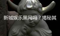 新城娱乐黑网吗？揭秘其真伪与玩家安全攻略
