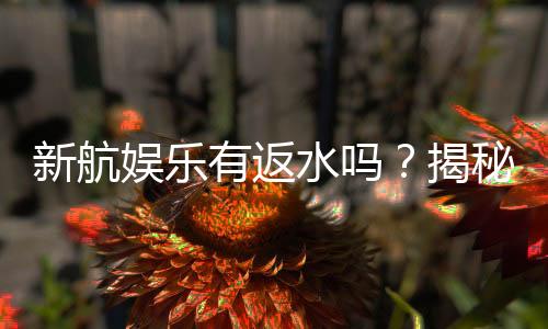 新航娱乐有返水吗?揭秘返水优惠及领取攻略