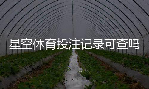 星空体育投注记录可查吗？查询方法与常见问题一次看懂