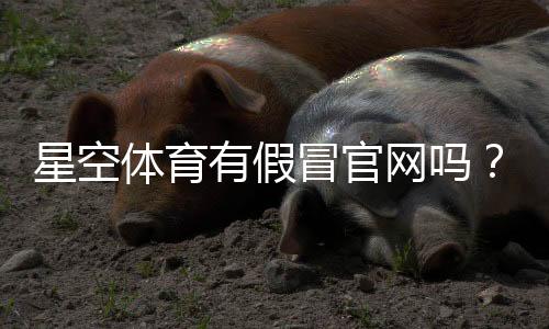 星空体育有假冒官网吗？一文教你识别真伪、查询官方渠道与防骗技巧