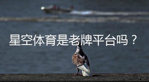 星空体育是老牌平台吗？平台资质、历史与用户口碑全面解析