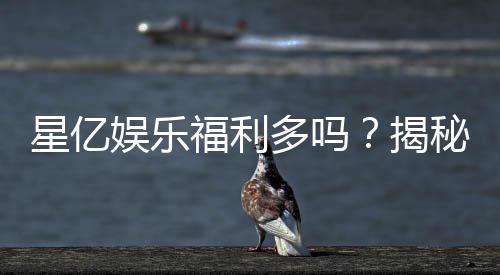 星亿娱乐福利多吗?揭秘其独家优惠与玩家真实反馈