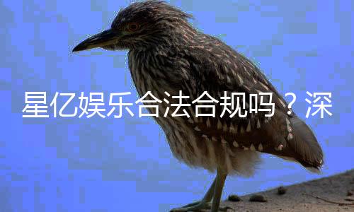 星亿娱乐合法合规吗？深度解析其运营资质与玩家保障
