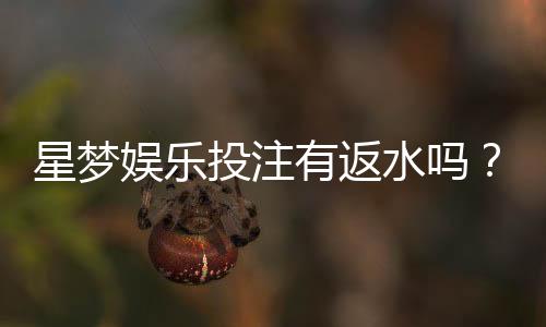 星梦娱乐投注有返水吗？揭秘平台返水规则与实战技巧