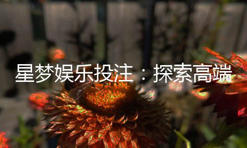 星梦娱乐投注:探索高端博彩体验与赢利秘籍