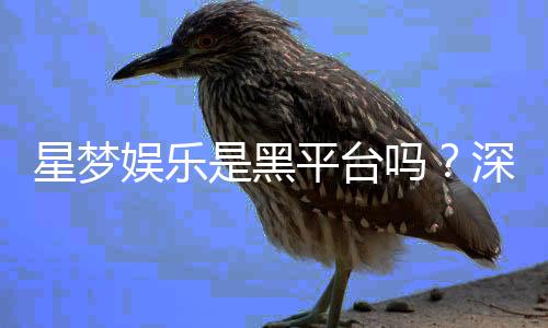 星梦娱乐是黑平台吗?深度解析其信誉与玩家真实体验